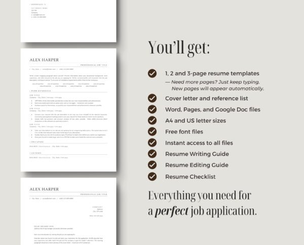 Professional ATS Friendly Resume Template | Alex - Image 8